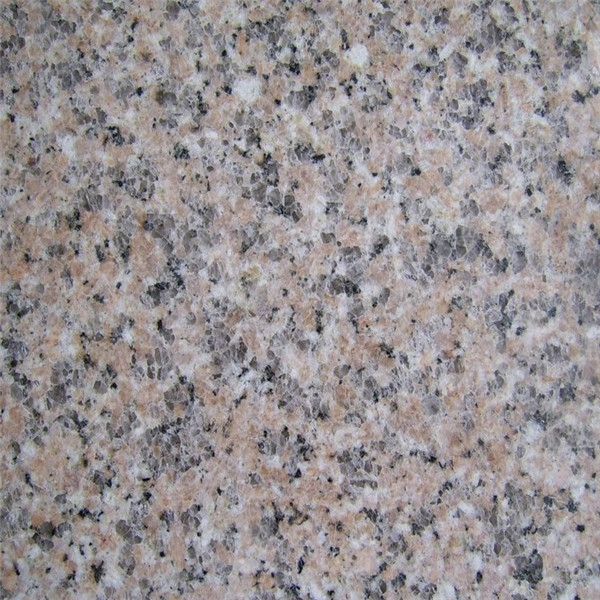 G364櫻花紅火燒面